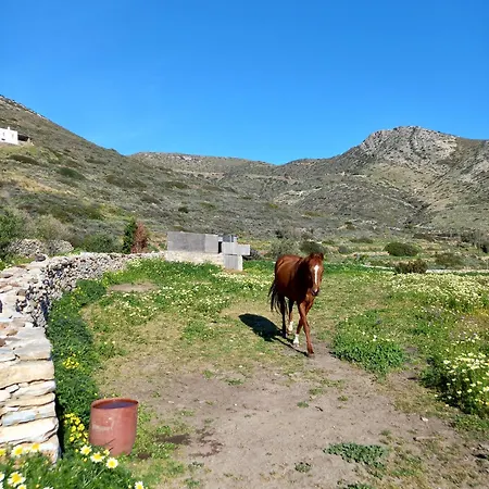 The Artists House - Atelier