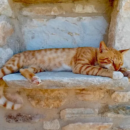 The Artists House - Atelier