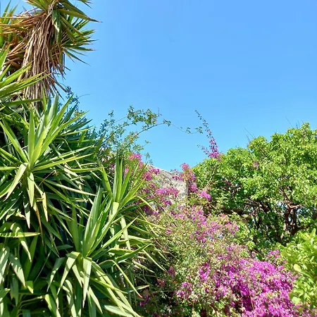 The Artists House - Atelier Villa