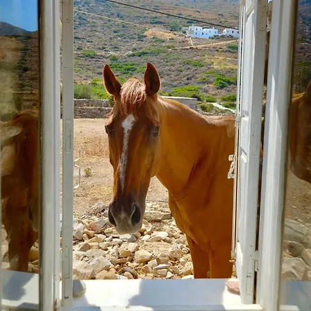 The Artists House - Atelier Villa Agia Theodoti