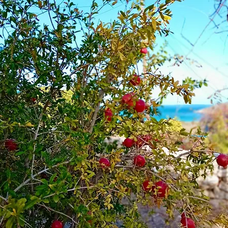 The Artists House - Atelier *