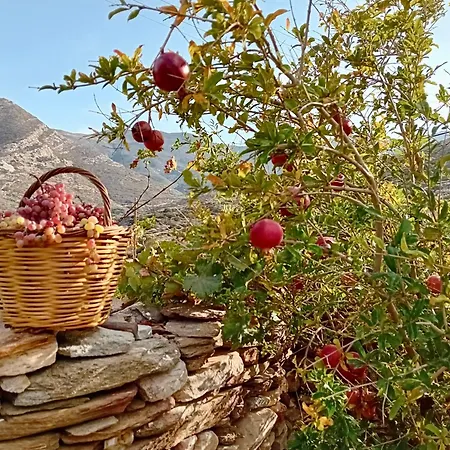 The Artists House - Atelier Villa *